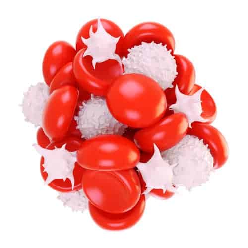 Tratamiento-Médico-plaquetas-PRP-Recuperar-el-pelo-perdido-Clínica-Capilar-FUExpert-Clinic-por-el-Dr-Juan-Couto-Madrid-España