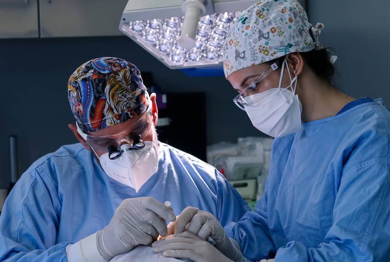 Hair transplant procedure in the operating room at FUExpert Clinic